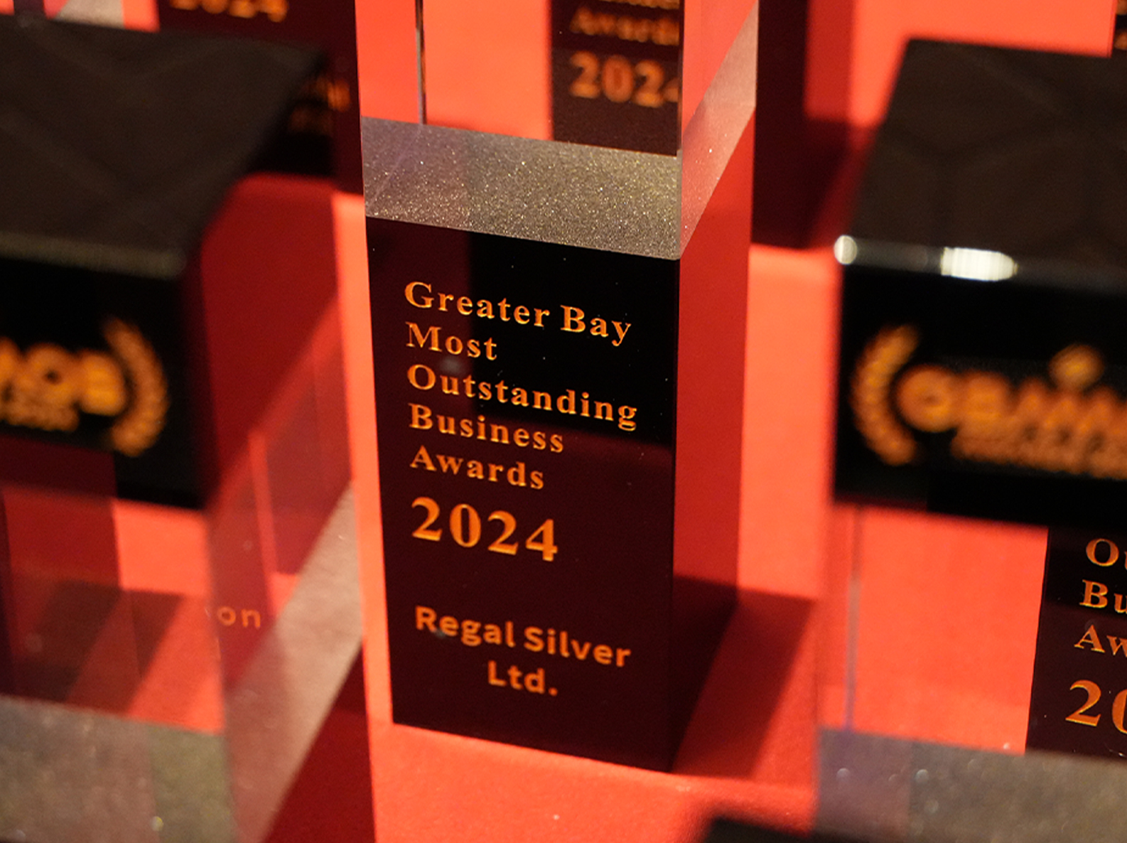 佩肌荣获“大湾区最优秀企业大奖”